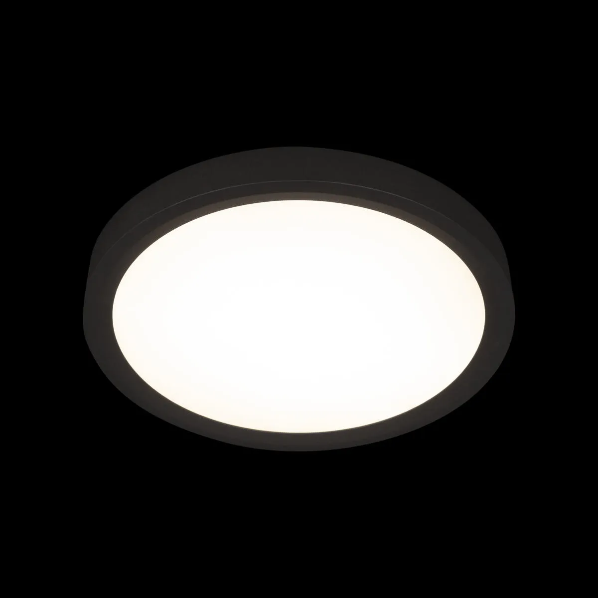 Потолочный светильник Loft It Extraslim 10227/24 Black