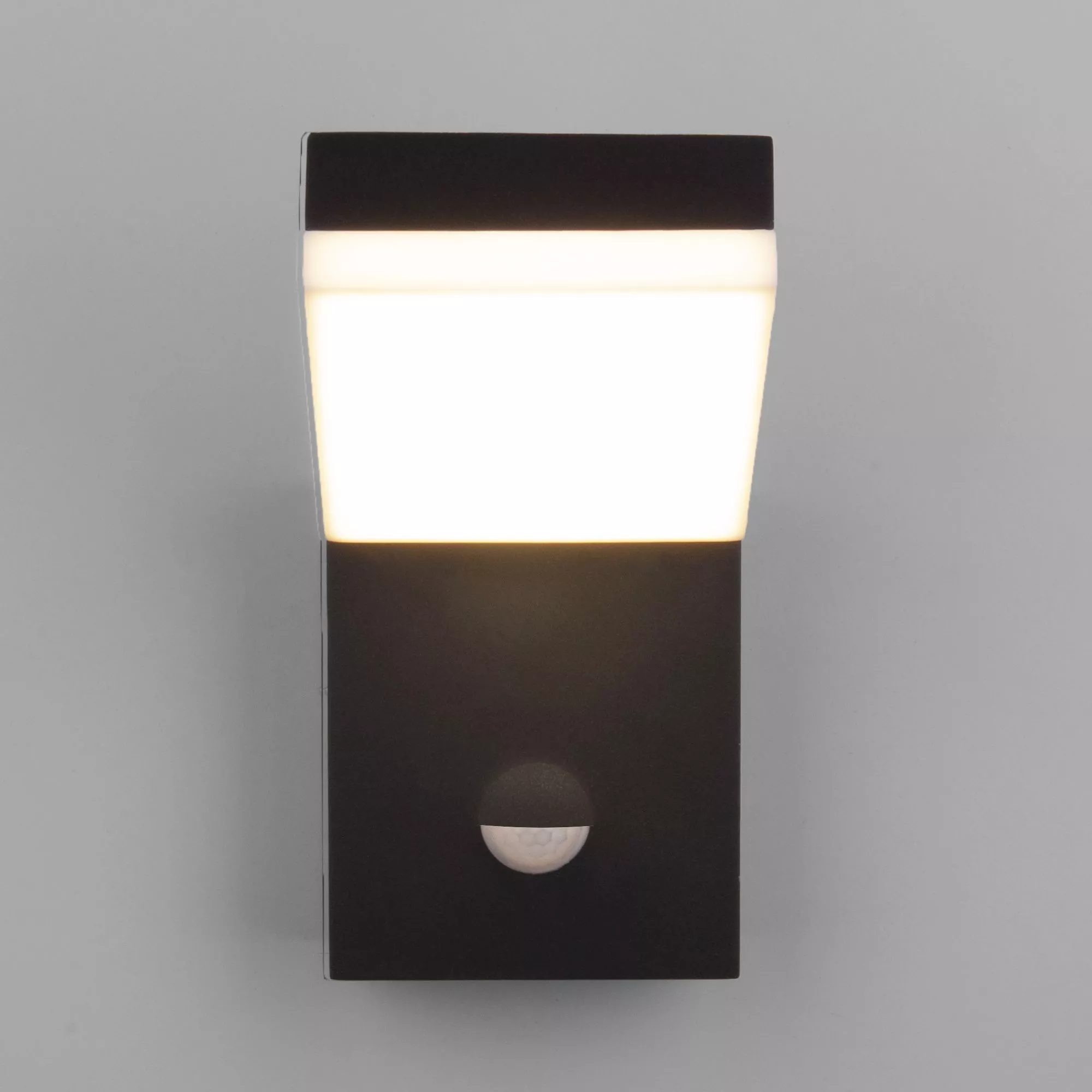 Уличный настенный светильник Elektrostandard Sensor 1541 TECHNO LED черный