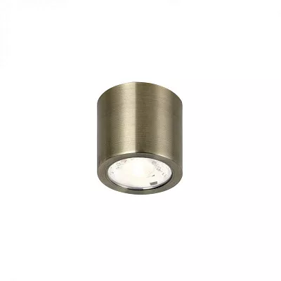 Точечный накладной светильник Favourite Deorsum 2806-1C