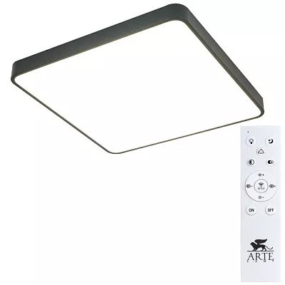 Потолочный светильник Arte Lamp SCENA A2669PL-1BK