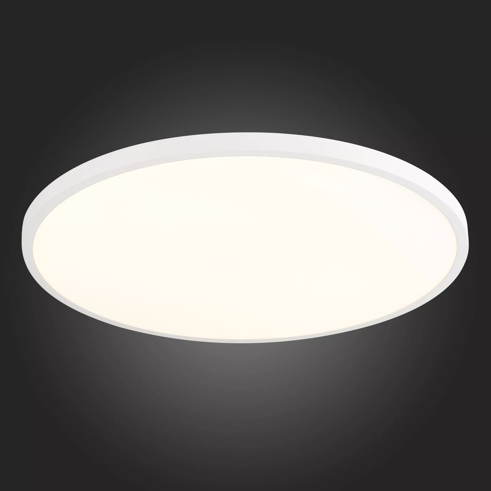 Настенно-потолочный светильник ST LUCE ST601.532.48