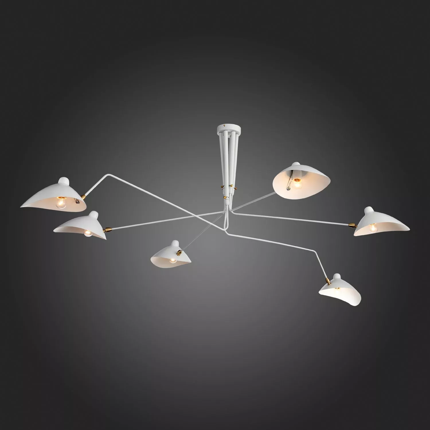 Люстра на штанге ST LUCE SPRUZZO SL305.502.06