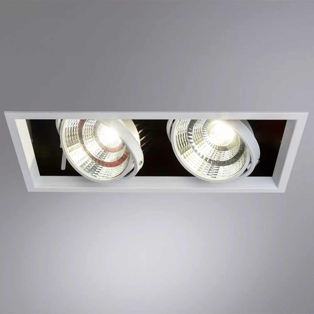 Точечный встраиваемый светильник Arte Lamp MERGA A8450PL-2WH