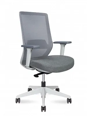 Кресло эргономичное NORDEN Mono grey LB без подголовника белый пластик / серый M6255-1 grey