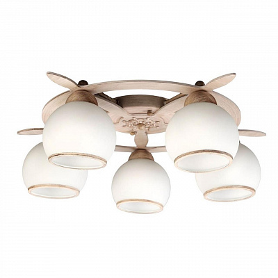 Накладная люстра Omnilux Fronteira OML-50517-05