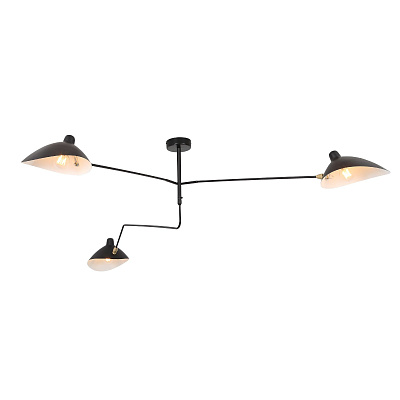 Накладная люстра ST LUCE SPRUZZO / СПРУЗЗО SL305.402.03